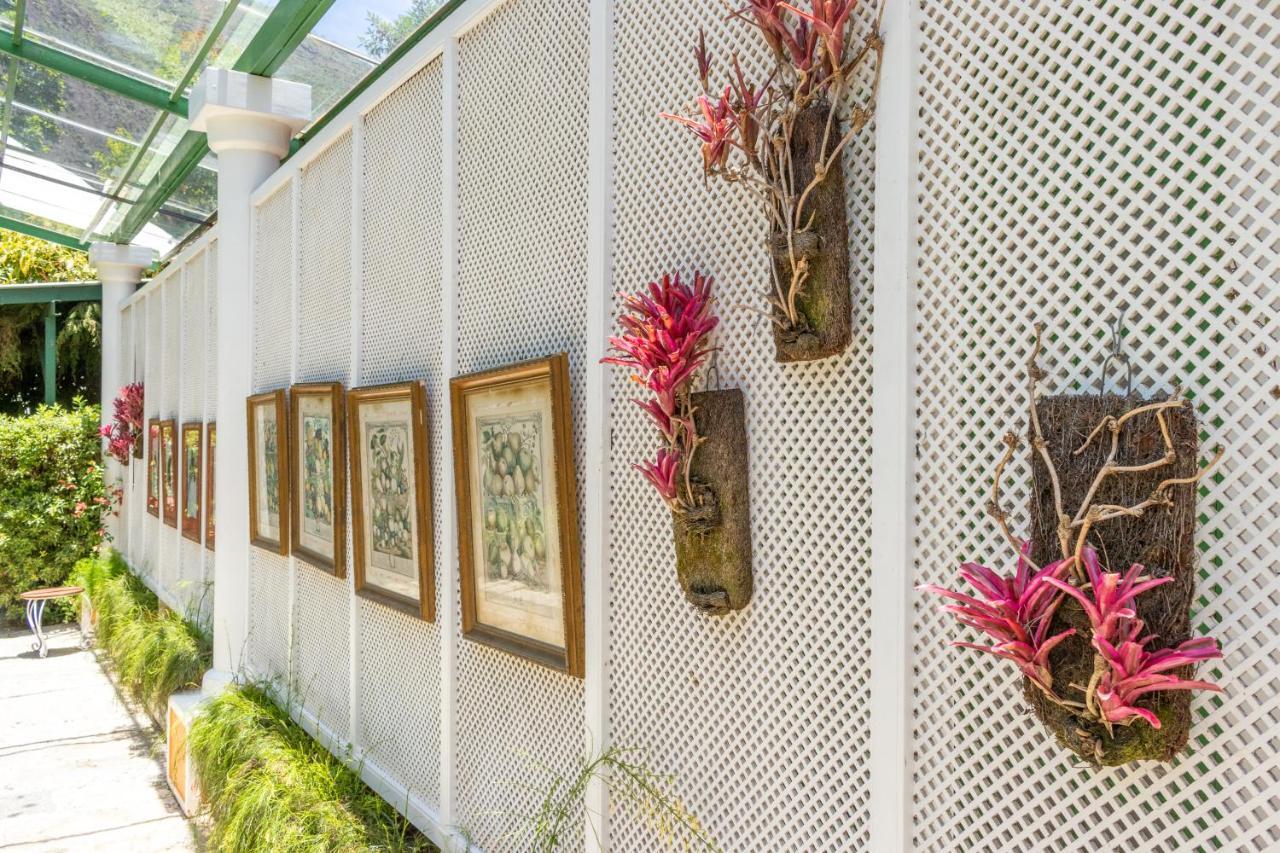 Locanda Della Mimosa Cascatinha ภายนอก รูปภาพ